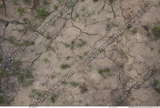 ground soil overgrown 0007